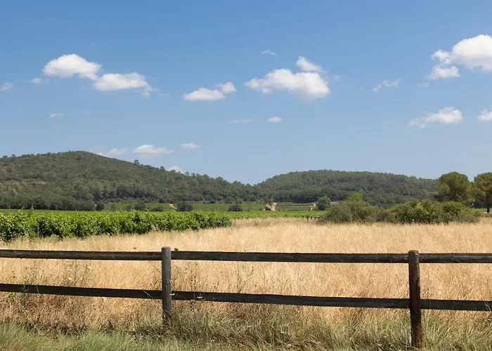 Gites De Chateau Gasqui